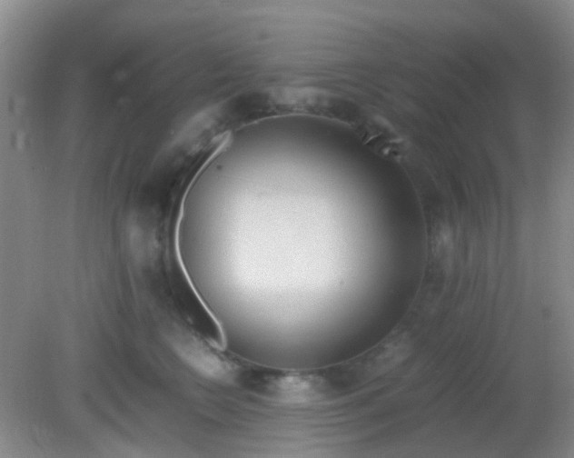 X0000081590566200701291322