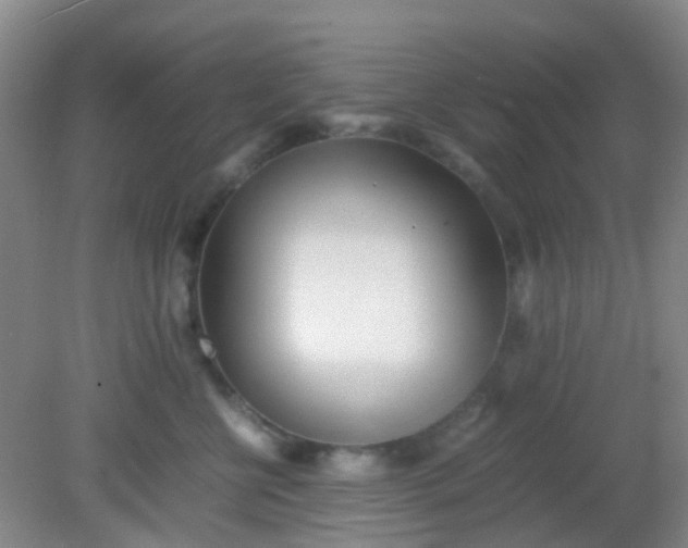 X0000081590570200701291322