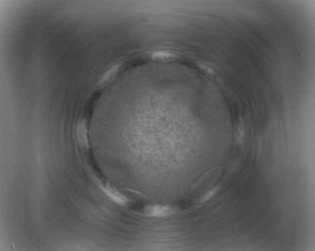 X0000081590575200701291322