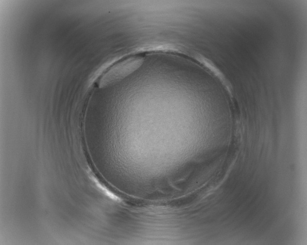 X0000081590577200701291321