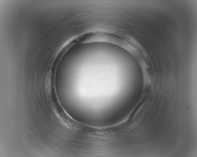 X0000081590580200701291321