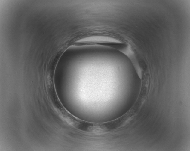 X0000081590597200701291321