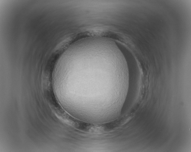X0000081590599200701291321