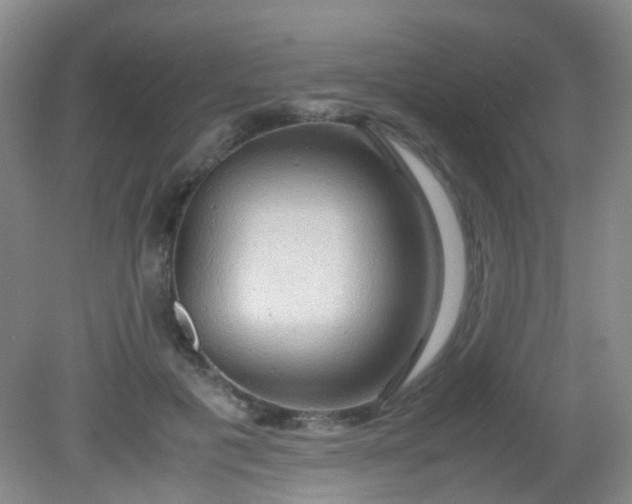 X0000081590601200701291321