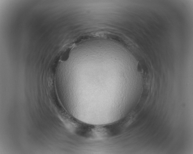 X0000081590603200701291321