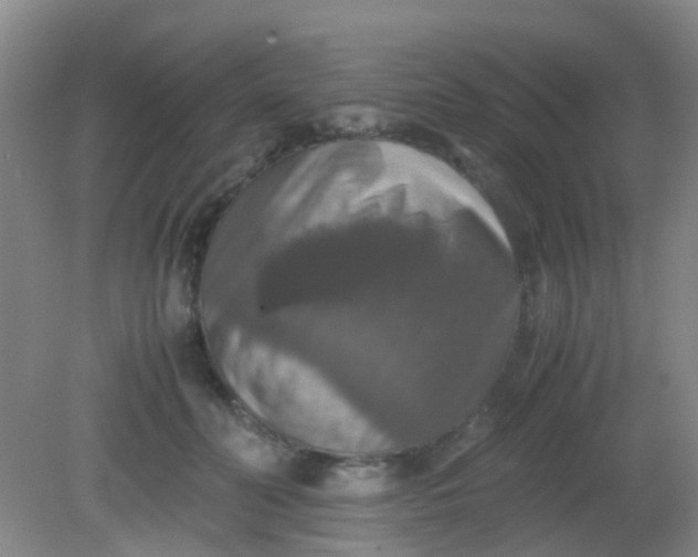 X0000081590606200701291321