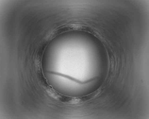 X0000081590609200701291321
