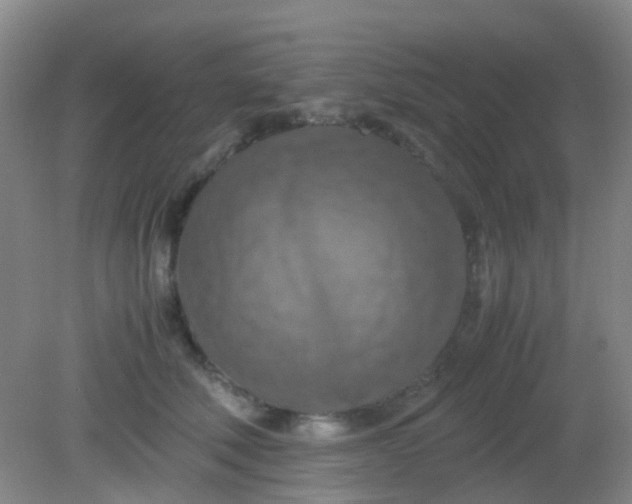 X0000081590610200701291321
