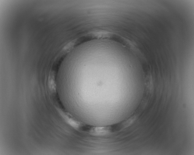 X0000081590622200701291321