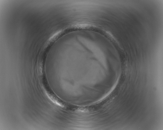 X0000081590640200701291320