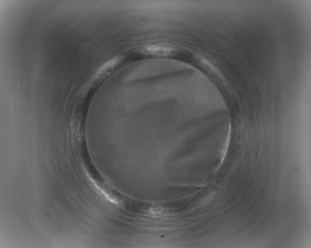 X0000081590641200701291320