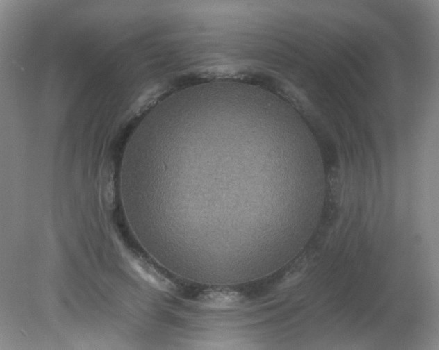 X0000081590642200701291320