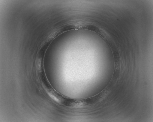 X0000081590646200701291320