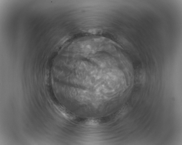 X0000081590656200701291320