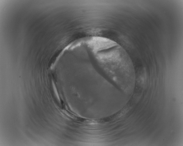 X0000081590658200701291320