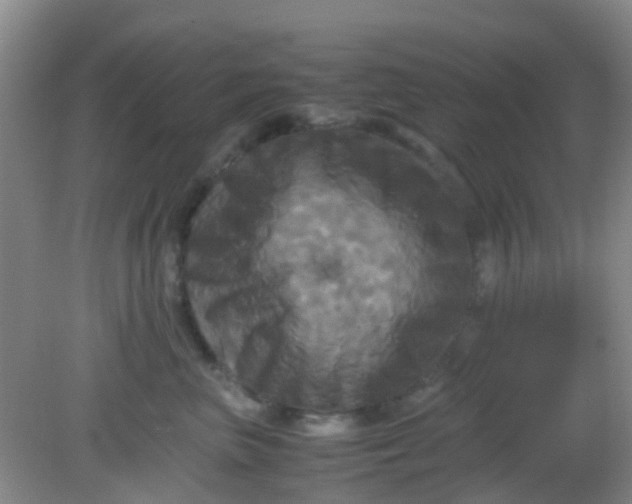 X0000081590667200701291321