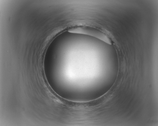 X0000081590673200701291320