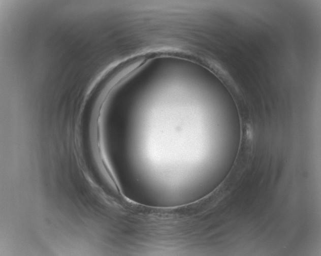 X0000081590676200701291320
