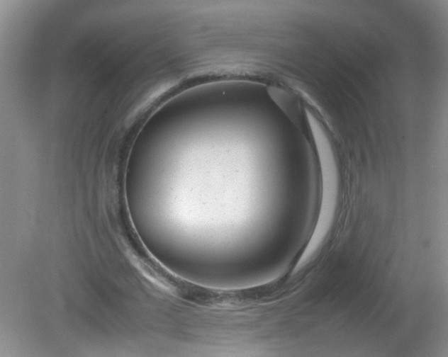 X0000081590677200701291320