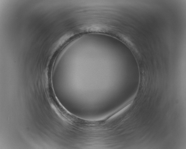 X0000081590678200701291320