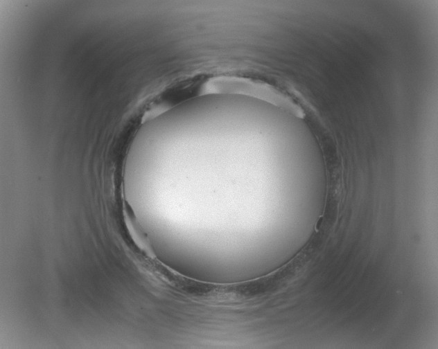 X0000081590685200701291320