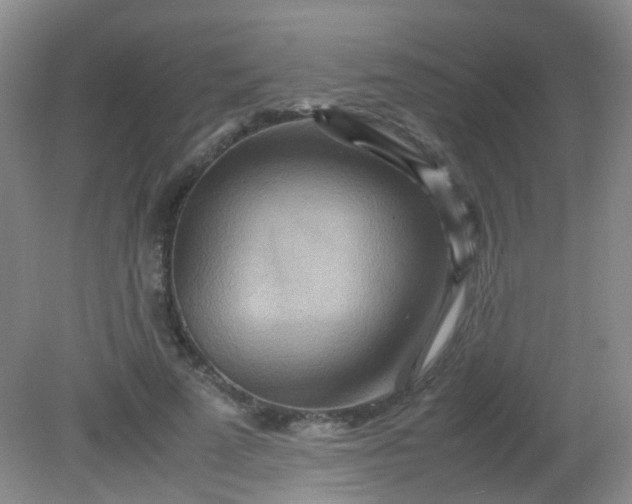 X0000081590689200701291320
