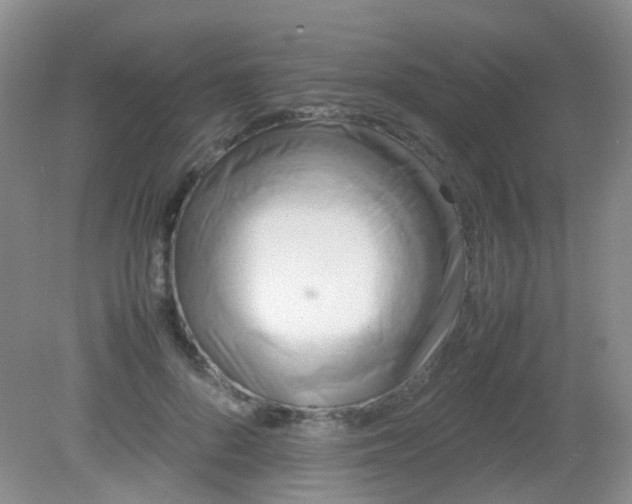 X0000081590696200701291319