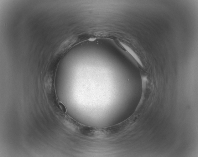 X0000081590697200701291319