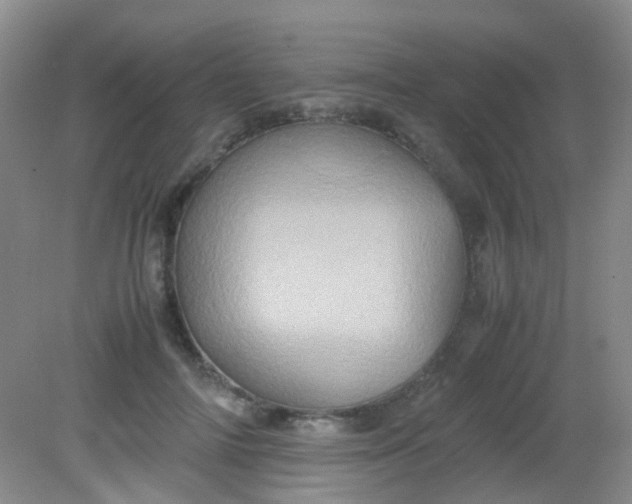 X0000081590698200701291319