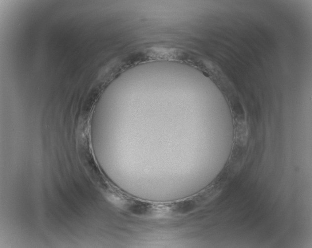 X0000081590701200701291319