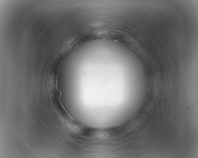 X0000081590702200701291319