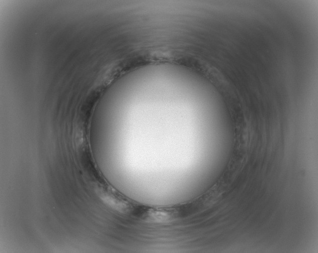X0000081590706200701291319