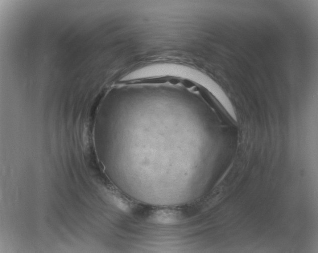 X0000081590708200701291319
