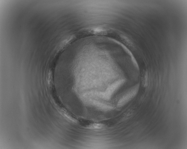 X0000081590748200701291319