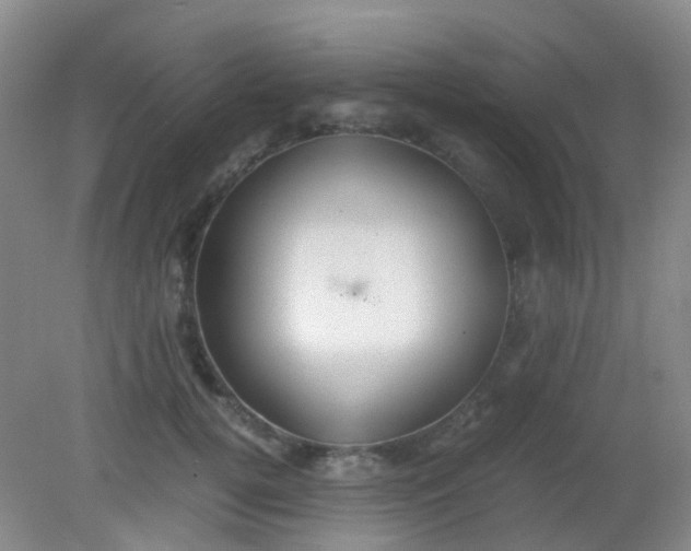 X0000081590752200701291319
