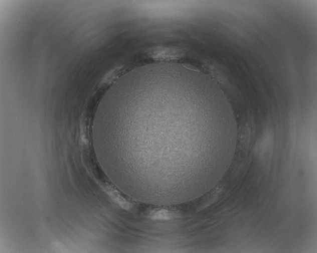 X0000081590755200701291319