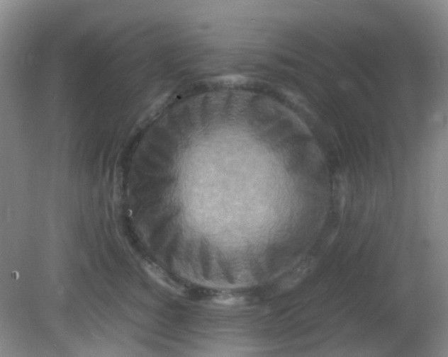 X0000081590760200701291319