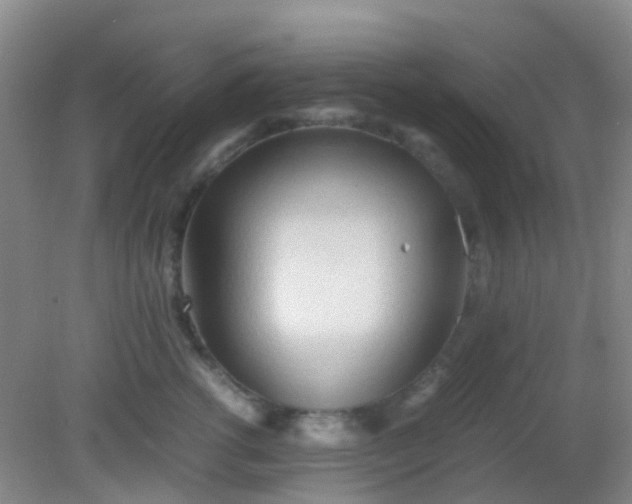 X0000081590762200701291319