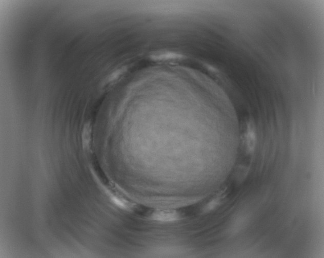 X0000081590767200701291319