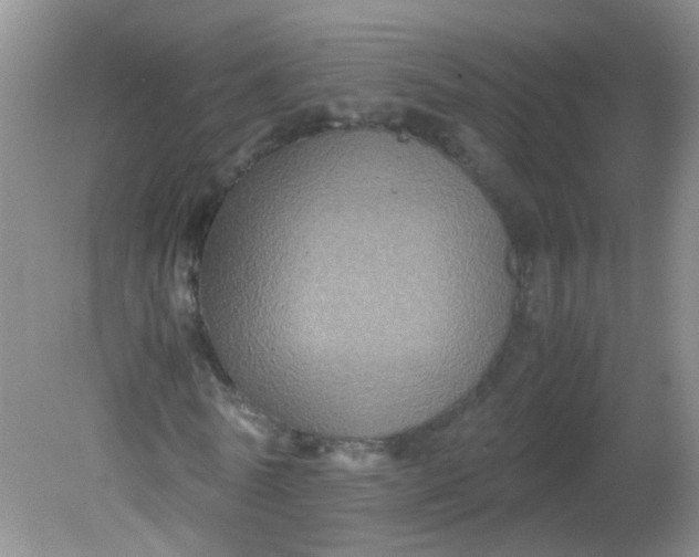 X0000081590770200701291318