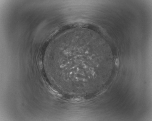 X0000081590771200701291318