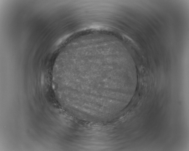 X0000081590776200701291318
