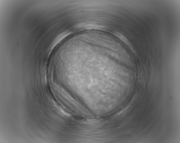 X0000081590782200701291318