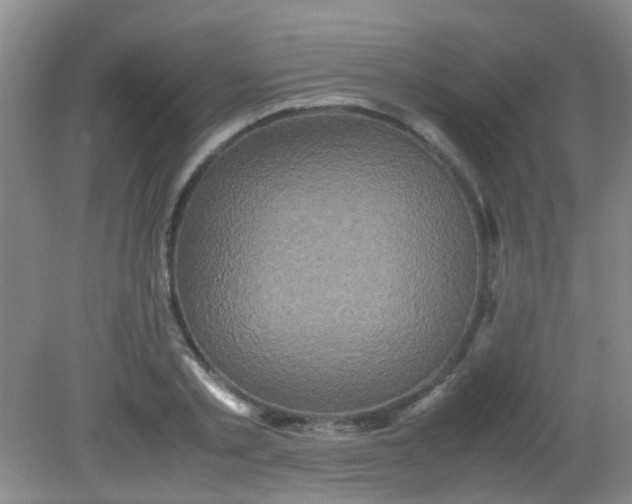 X0000081590789200701291318
