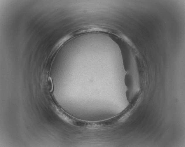 X0000081590793200701291318