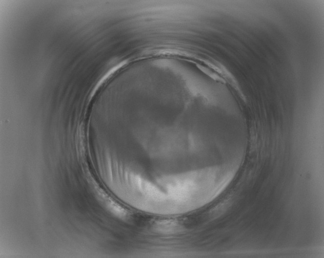 X0000081590798200701291318