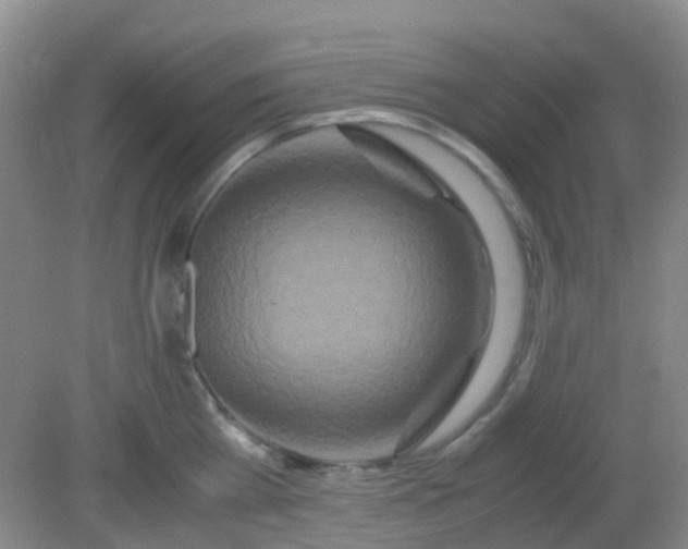 X0000081590809200701291318