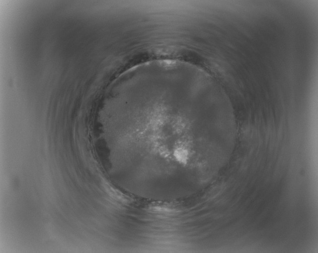 X0000081590817200701291317