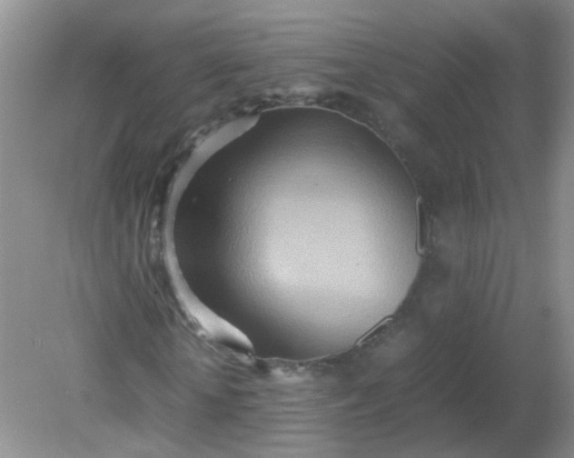 X0000081590818200701291317