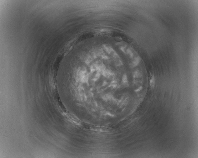 X0000081590819200701291317